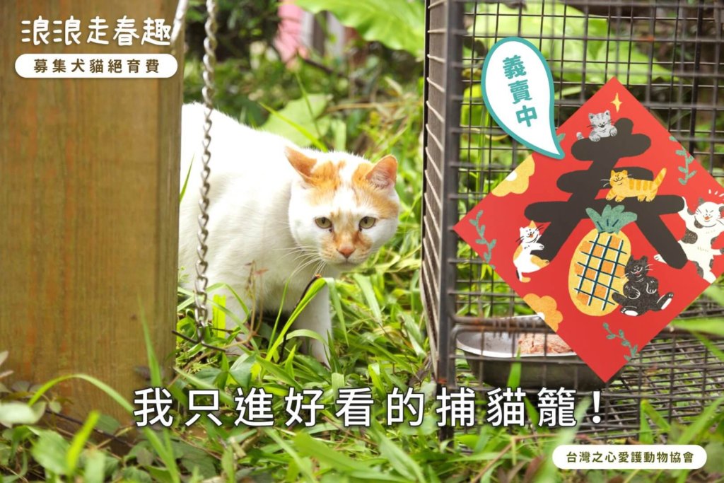 浪浪走春趣！春聯紅包袋義賣，一起做愛心幫助浪浪絕育！